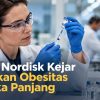 Novo Nordisk Kejar Suntikan Obesitas Jangka Panjang